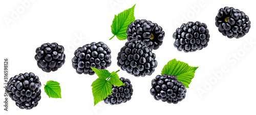 Ripe blackberry isolated on white background photo