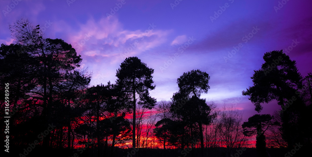 January sunset sky over Meikle woods, Silvertonhill, Scotland