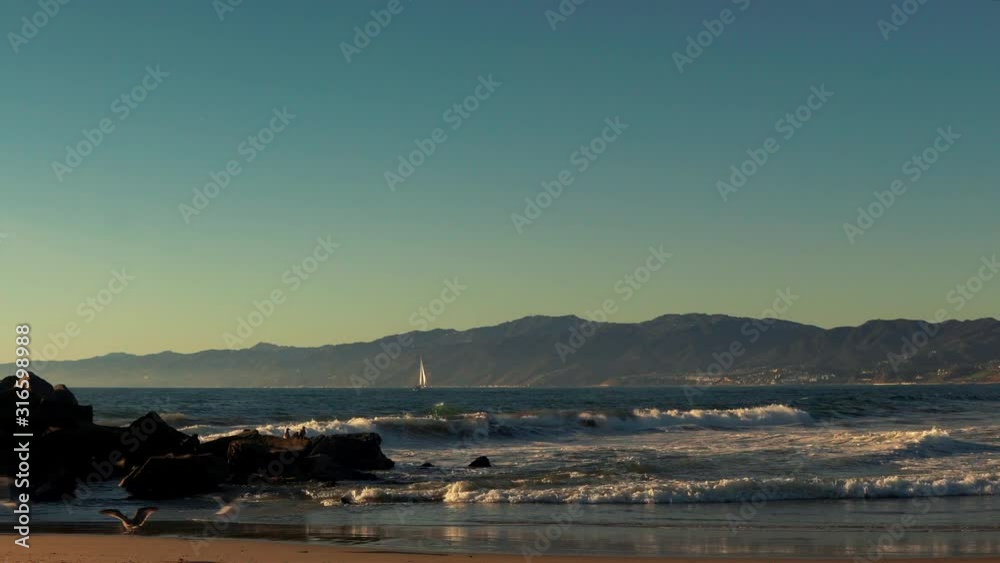 Seagulls fly along beach with ocean waves and sailboat in background Seagulls fly along beach with ocean waves and sailboat in background