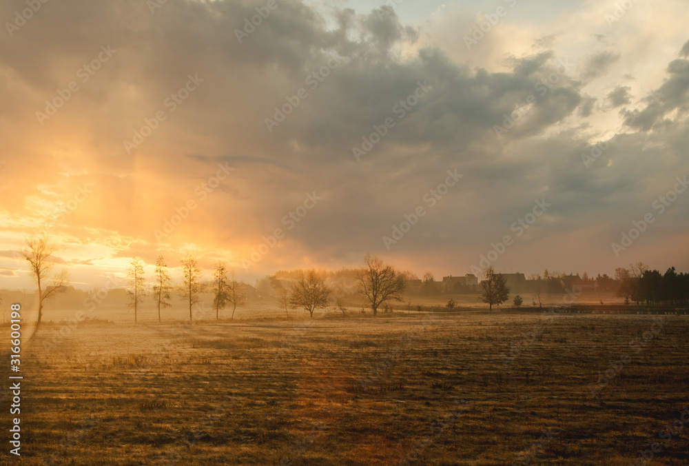 Sunset in the cloudy sky. Summer landscape with trees and grasses