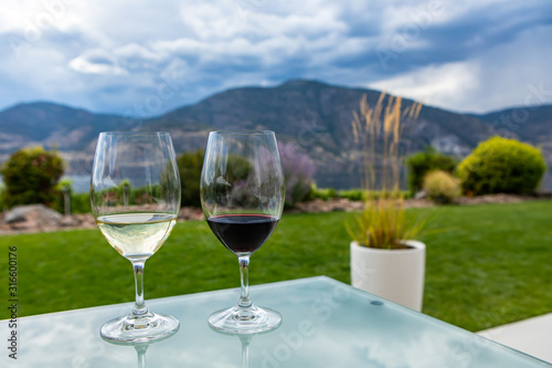pair of wine glasses filled with red and white wines, selective focus and close up view against a beautiful landscape of grass and plants background