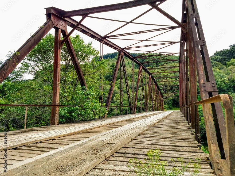  iron bridge over the river in nature