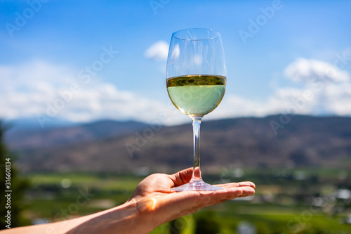 A glass of white wine on hand, selective focus close up view against vineyards fields blurred background, sunny day Okanagan Valley, British Columbia photo