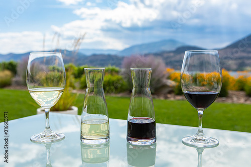 small decanters and glasses filled with red and white wines on a glass table, wine tasting stemware against a garden grass mountain view background