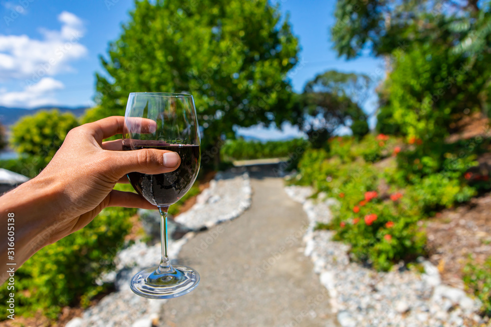 man hand holding a glass of red wine selective focus view against blurred background of a path between plants. in villa yard during a sunny day