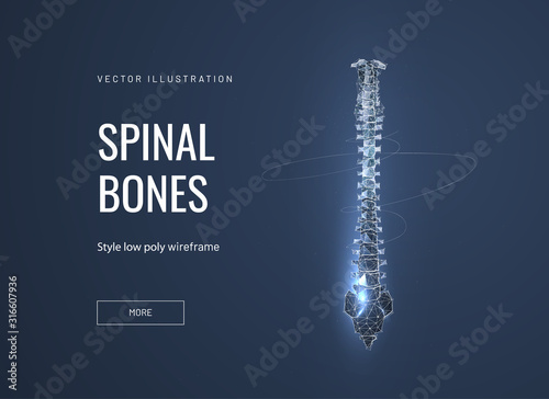 Spinal bones low poly wireframe landing page template