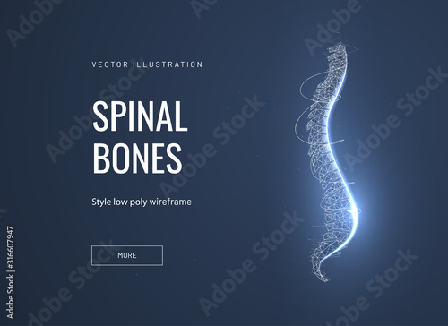 Spinal bones, vertebra low poly wireframe landing page template photo