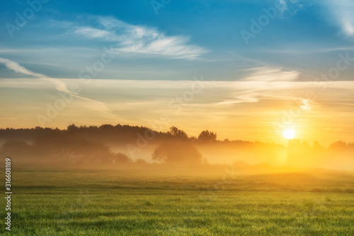 Fotografie, Obraz Beautiful summer sunrise over fields