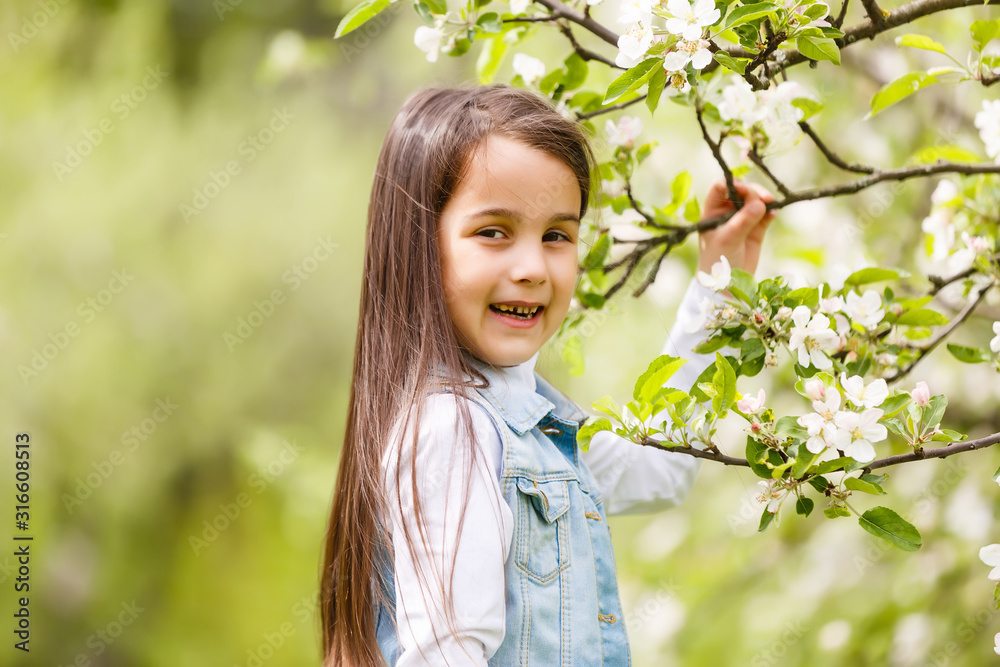 Beautiful girl in flowering Apple trees. Long hair Beautiful girl in flowering Apple trees. Long hair