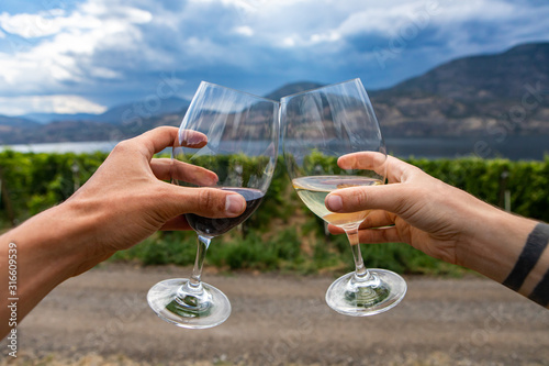 Принти на полотні outdoor wine drinking and tasting tour, winery farm houses and vineyards visit,