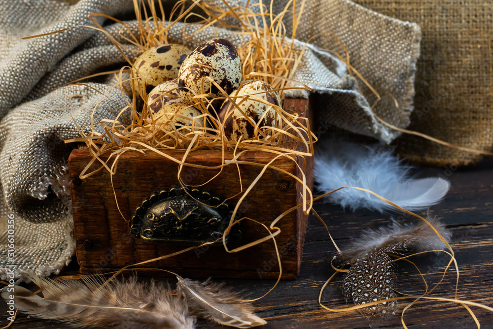 Quail eggs in the nest. Quail. Spring. Easter eggs. Spring Festival. Eggs Nest with eggs. Easter. Quail eggs in the nest. Quail. Spring. Easter eggs. Spring Festival. Eggs Nest with eggs. Easter.