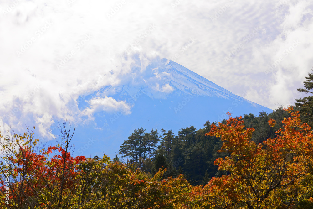Mount Fuji with snow on the top and red leaves in the foreground during autumn. Clouds covering part of the mountain