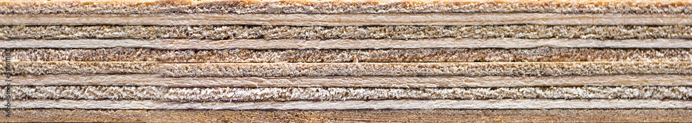 Plywood end side high resolution texture Plywood end side high resolution texture