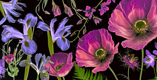three poppies, irises and other flowers  on black background botanical art pi...