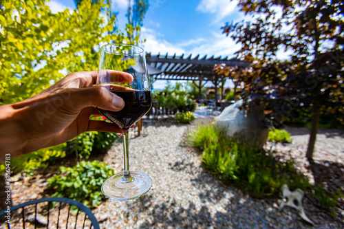 hand holding a glass of red wine selective focus view, outdoor wine tasting, wineries and vineyards of Okanagan Valley, British Columbia, Canada