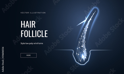 Hair follicle treatment low poly landing page template. Trichology science web banner. 3d hair root with glowing polygonal illustration. Baldness prevention clinic mesh art homepage design layout