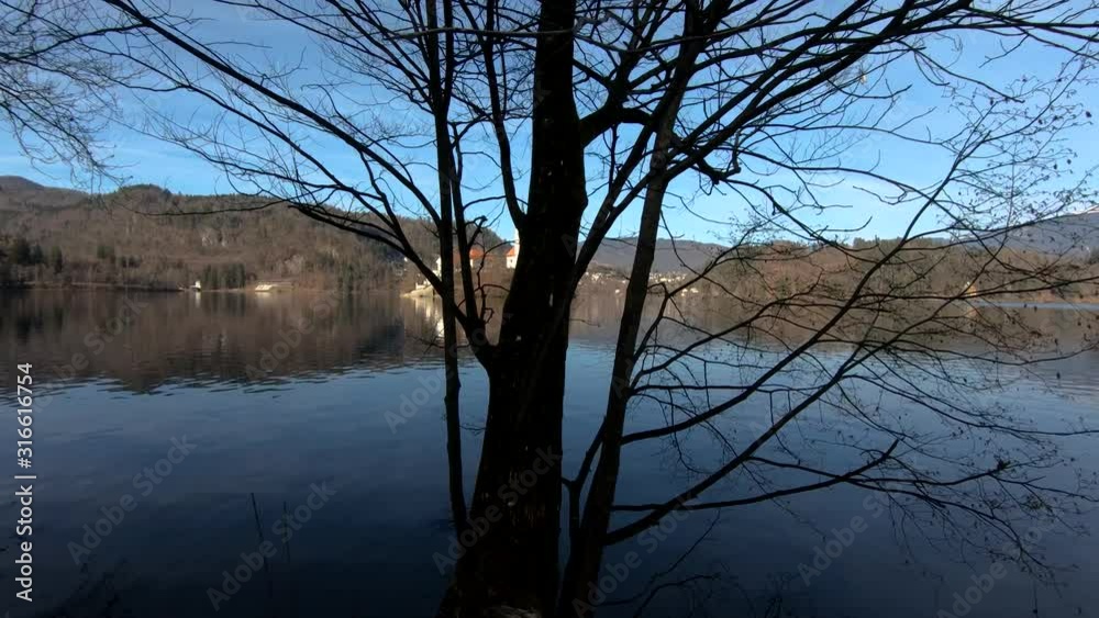 Left truck moving behind tree silhouette with lake Bled island in background Left truck moving behind tree silhouette with lake Bled island in background