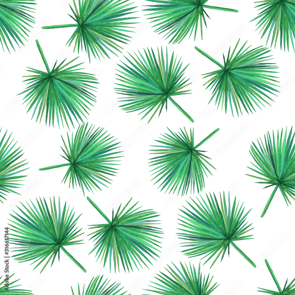 Watercolor  green palm leaves on a white background. Seamless pattern. Hand illustration.