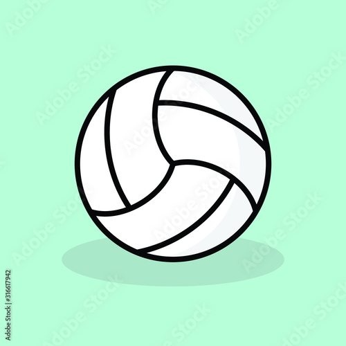 Wallyball   ball 