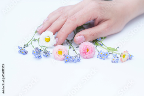 Beautiful soft woman hands and flowers forget me nots  daisies Isolated on white Creative flat lay Beauty concept