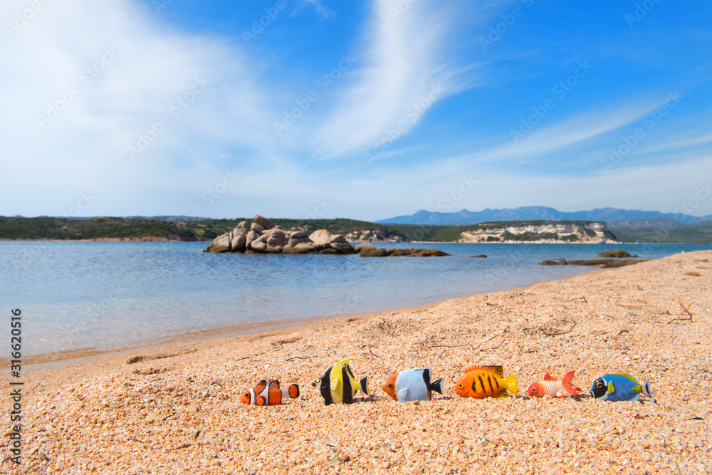 Corsica beach landscape with fishes Corsica beach landscape with fishes