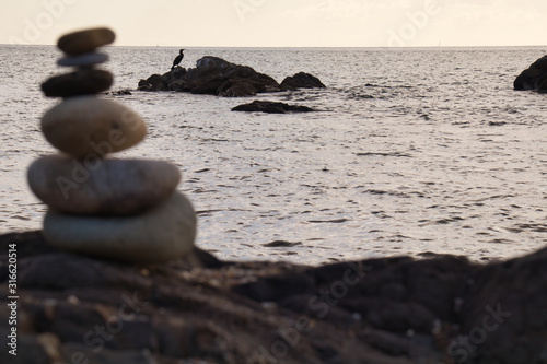 Formation stones zen style  in the background on a rock in the sea a bird