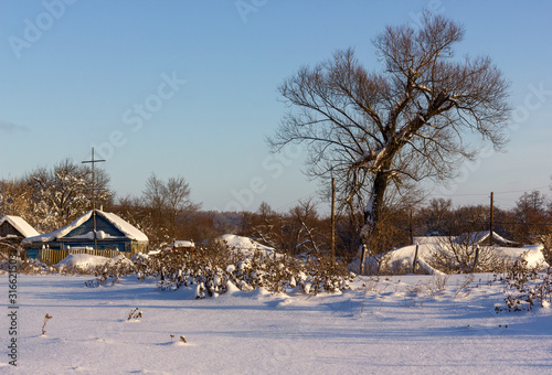 winter landscape, a rustic house and trees all in the snow against a bright blue sky on a sunny day