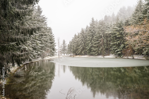 First snow of the year in carpegna photo