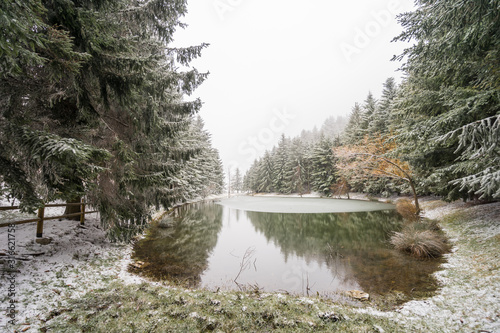 First snow of the year in carpegna photo