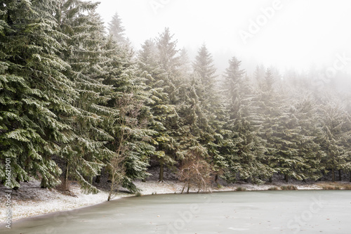 First snow of the year in carpegna photo