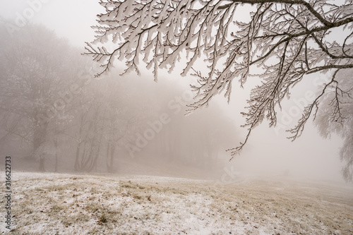 First snow of the year in carpegna photo