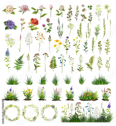 Big floral elements set. Flowers, leaves, wreaths for your design. Vector colorful illustration.