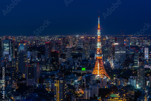 Night cityscape of Tokyo dominated by Tokyo Tower, the most famous landmark of the city, Japan