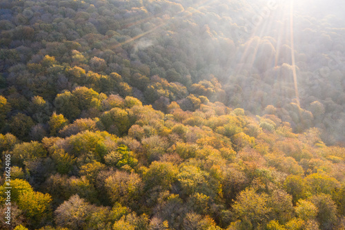 Sabaduri Forest  Tbilisi National Park  Georgia. Country. Autumn. Drone shooting