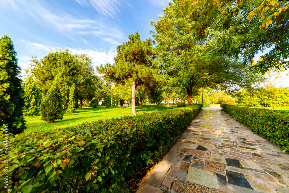 Fototapeta premium Flowerbeds, Grass Pathway and Ornamental Vase in a Formal Garden