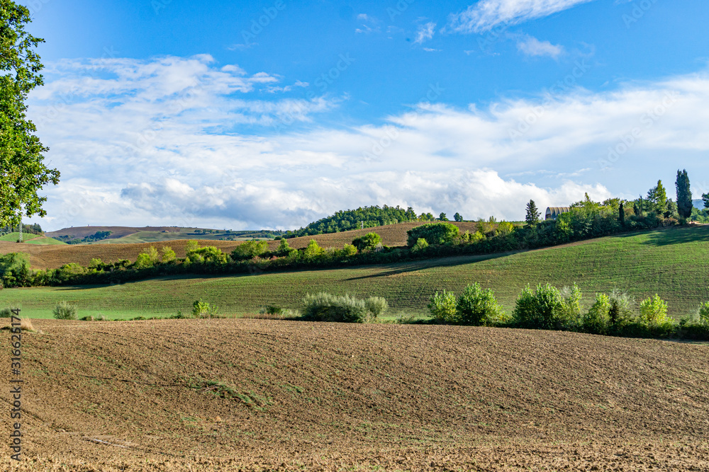 Landscape of Fields in sunny tuscan countryside, Italy