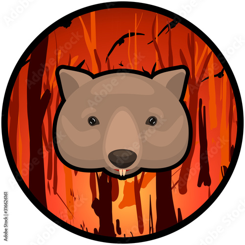 weeping wombat icon on a burning Australian forest background. Cartoon vector illustration