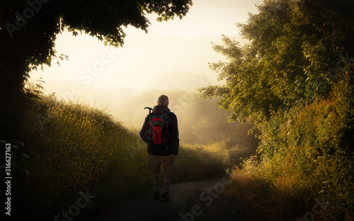 An early morning hiker with a backpack near Newquay in Cornwall. It is very foggy on the trail at the edge of the forest. The sun has risen and shines as backlight.