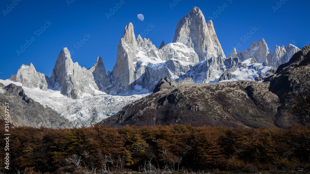 View of Chalten (also known as Fitz Roy mountain). The moon in the sky can be seen. Below, there is a forest of pine trees. Autumn in Patagonia, Argentina
