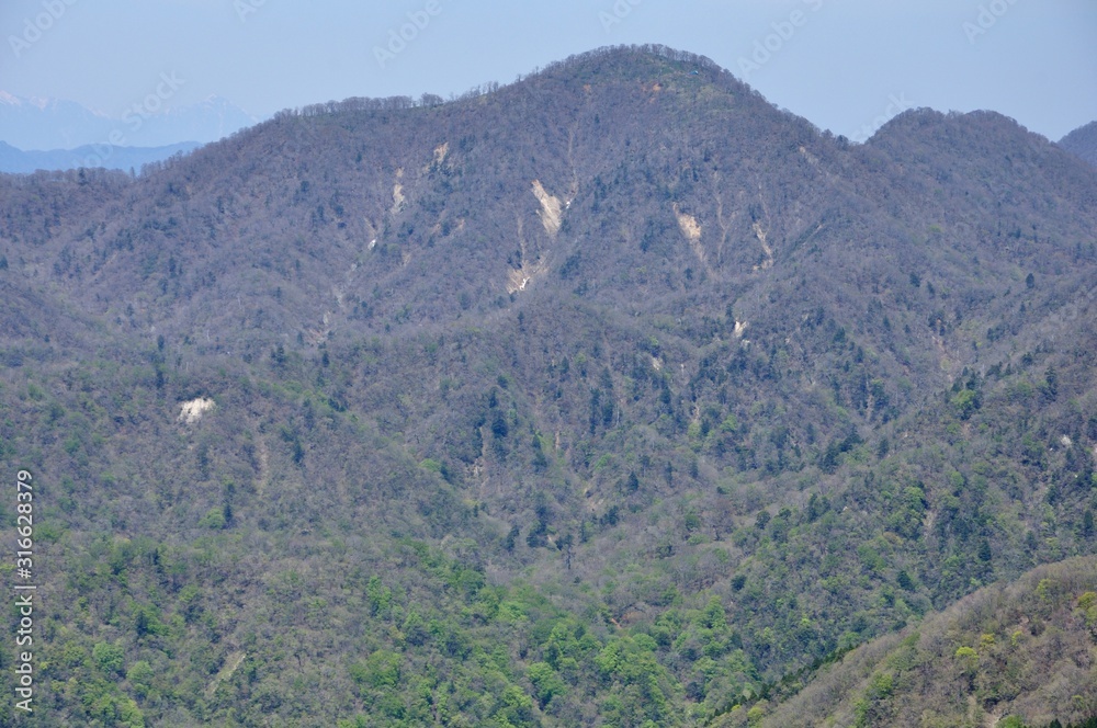 Fototapeta premium 春の檜洞丸を望む