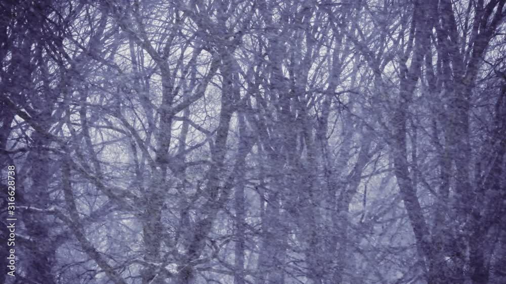 Massive blizzard hits the city. Shot in cinematic 4K in Toronto. Massive blizzard hits the city. Shot in cinematic 4K in Toronto.