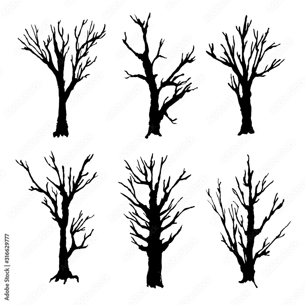 A small set of brushes of dried trees