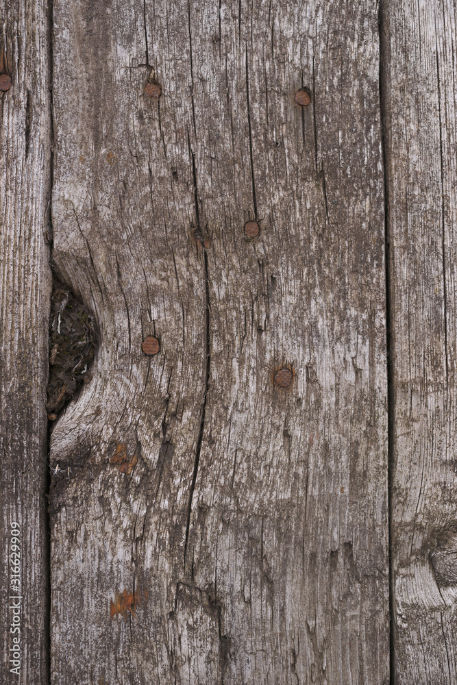 Old wooden texured surface closeup. Moss and relief on surface. Stock photo of old wooden pattern of aged boards with moss. Brown and gray colors on photo. Old wooden texured surface closeup. Moss and relief on surface. Stock photo of old wooden pattern of aged boards with moss. Brown and gray colors on photo.