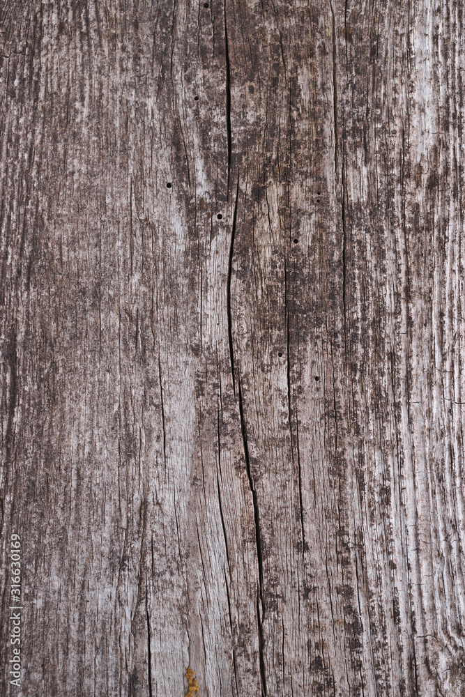 Old wooden texured surface closeup. Moss and relief on surface. Stock photo of old wooden pattern of aged boards with moss. Brown and gray colors on photo. Old wooden texured surface closeup. Moss and relief on surface. Stock photo of old wooden pattern of aged boards with moss. Brown and gray colors on photo.