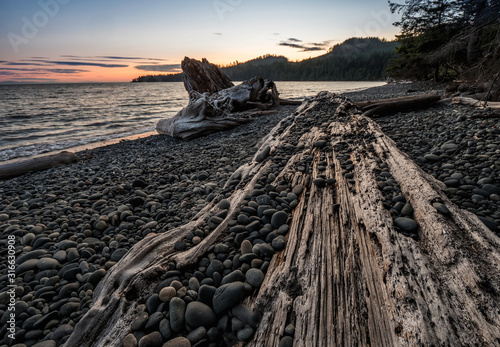 Old log on French beach on Vancouver Island, British Columbia, Canada.