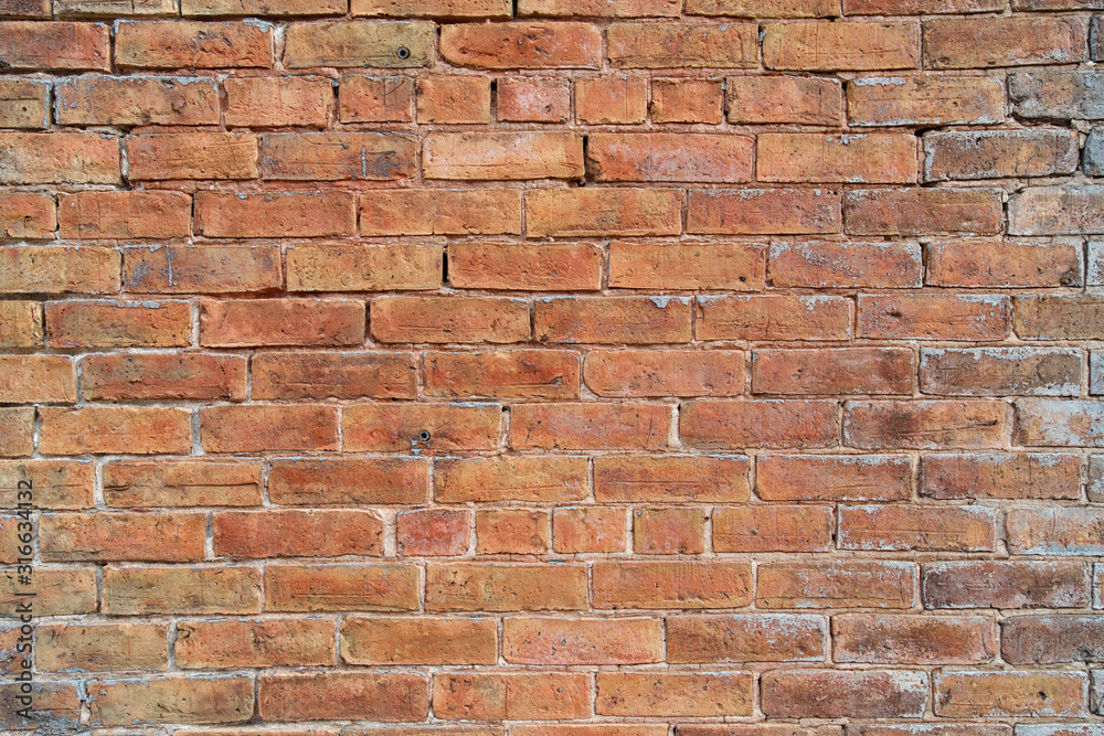 Fototapeta premium XXL photo of a wall of an old building. Amazing detail.