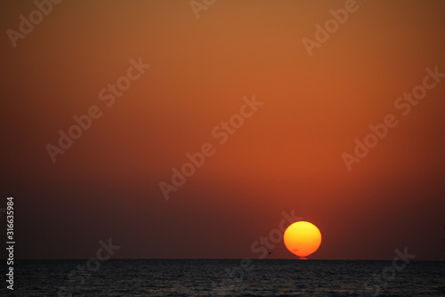 Fototapeta Naklejka Na Ścianę i Meble -  Sunset over the horizon of calm sea