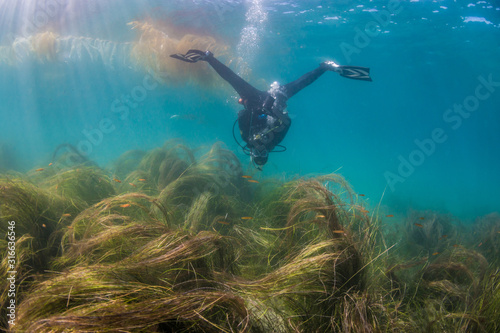 Scuba diver playing around doing the upside down splits underwater off La Jolla, California