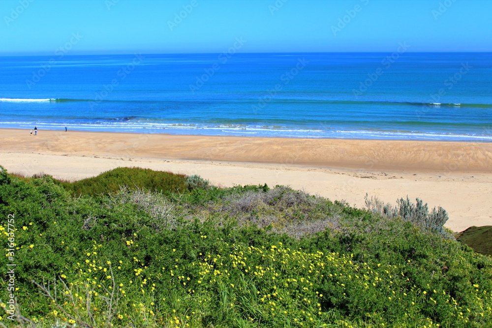 beach and sea in Adelaide, Australia