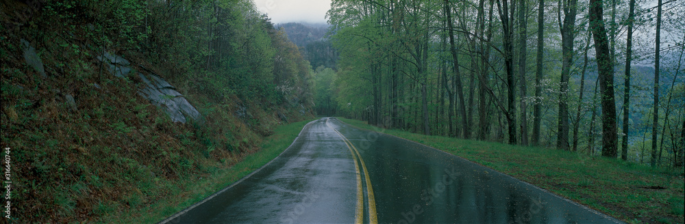 Obraz premium This is a rain soaked road showing bad weather. It is called the Foothill Parkway and is surrounded by green trees. It heads off into a curve toward the right.